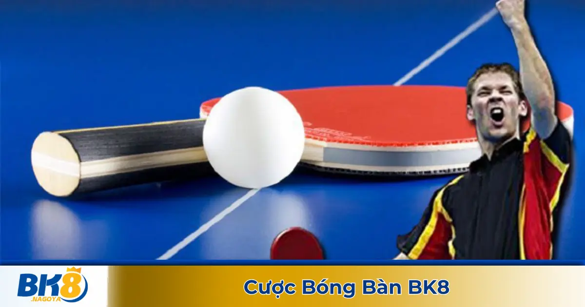 Cược bóng bàn là gì? Giới thiệu về loại hình cá cược tại BK8