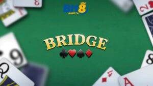 Những lưu ý khi chơi bài bridge